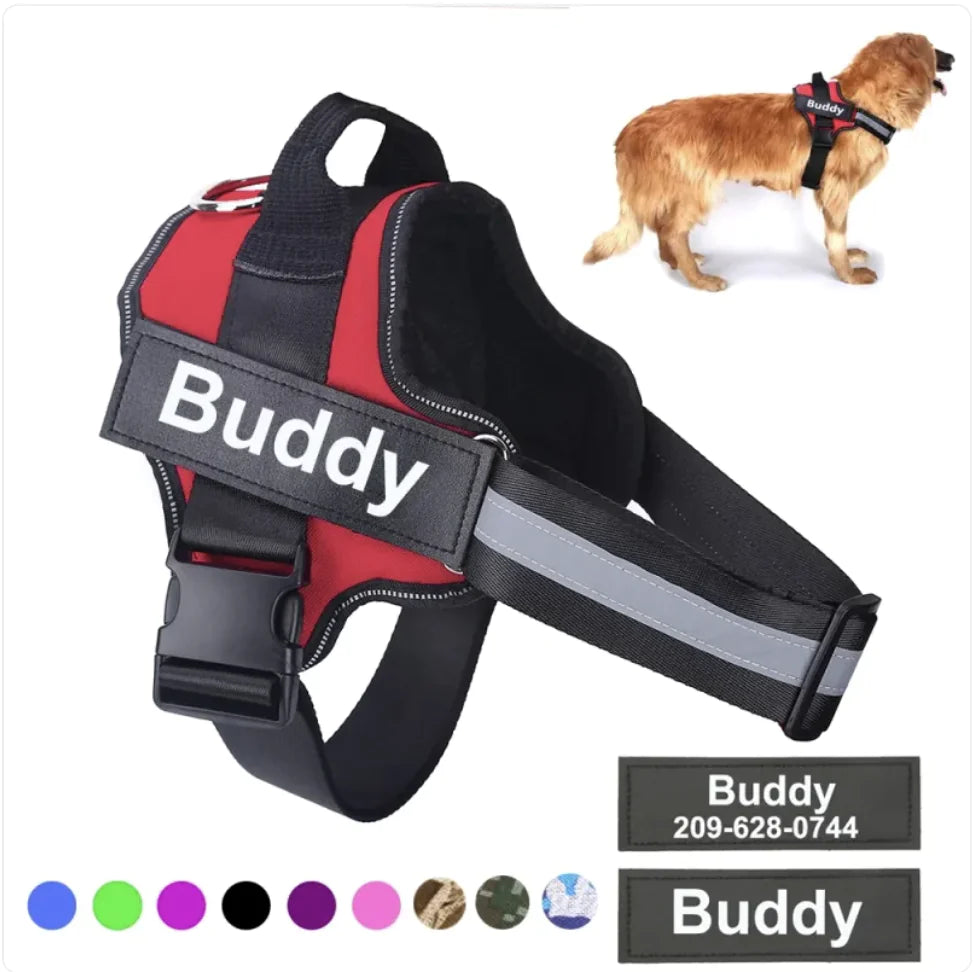 Reflective Adjustable Harness