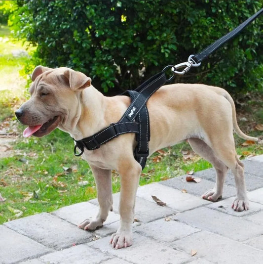 Adjustable Walking Harness