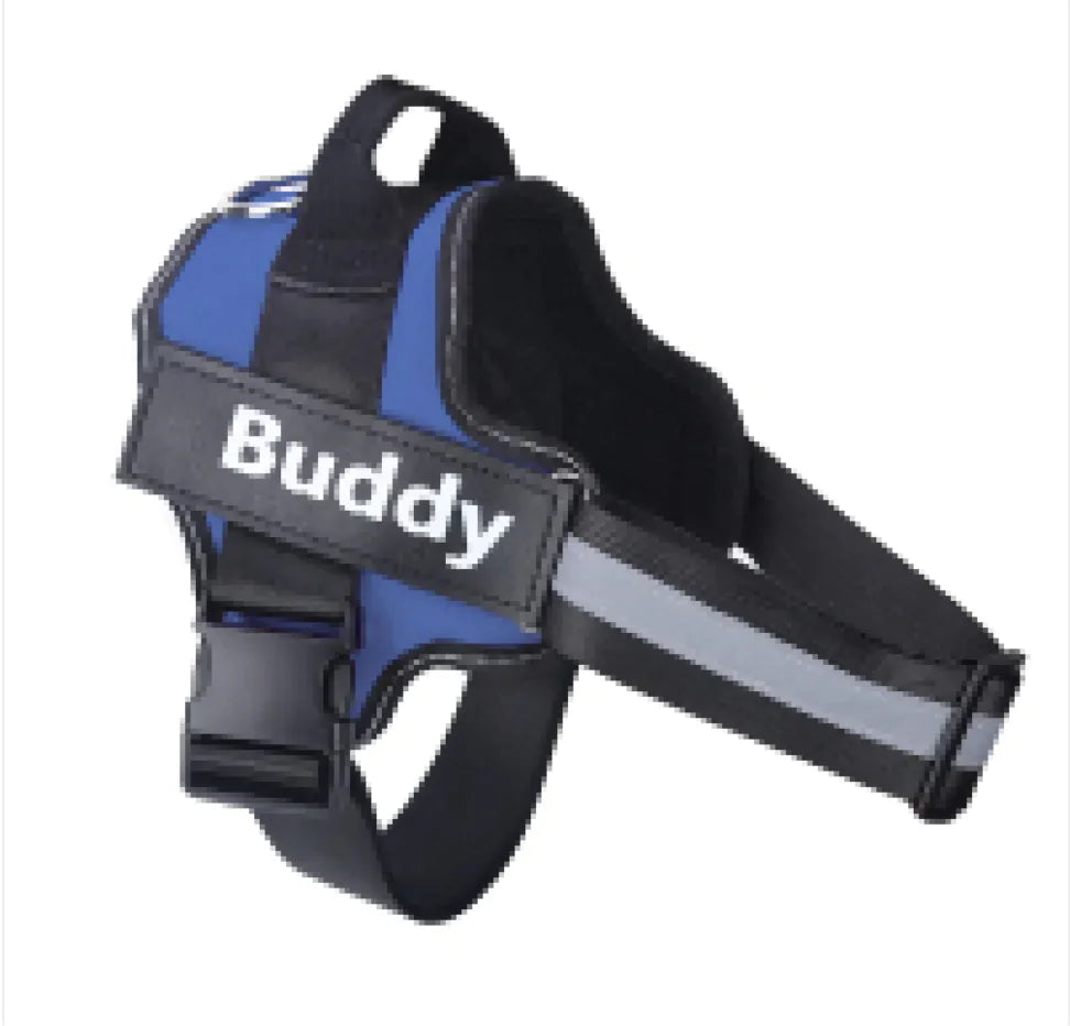 Reflective Adjustable Harness