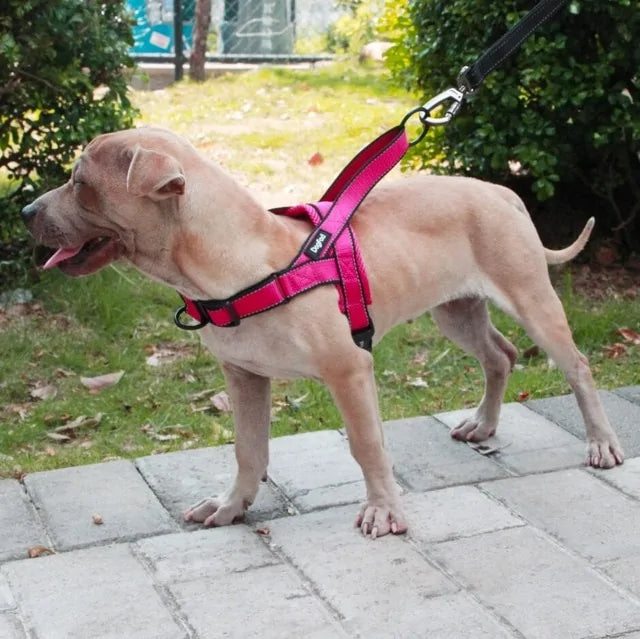 Adjustable Walking Harness