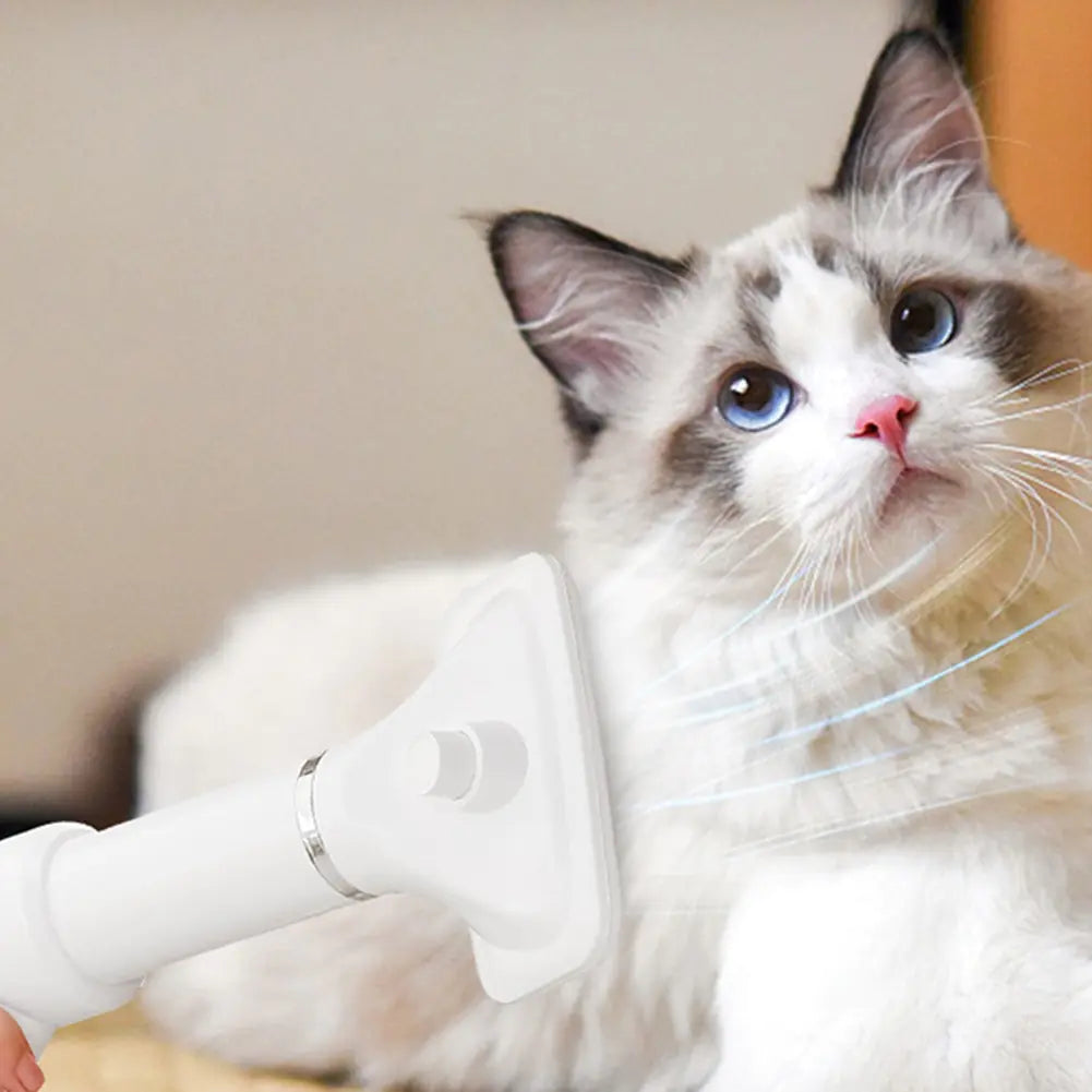 Portable 2 in 1 Pet Hair Dryer