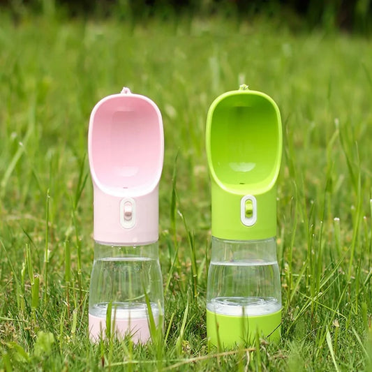 Portable Water Bottle