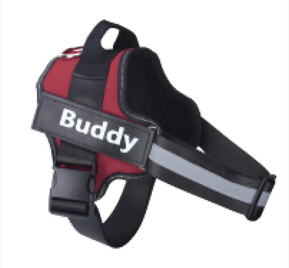 Reflective Adjustable Harness