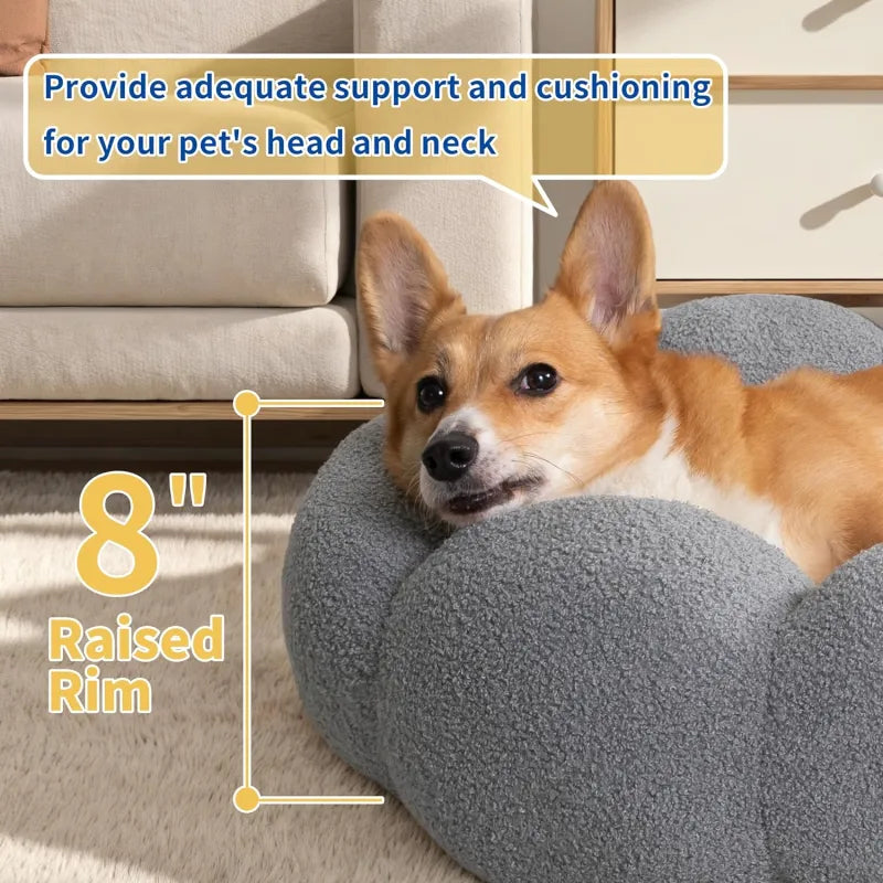 Calming Indoor Pet Beds