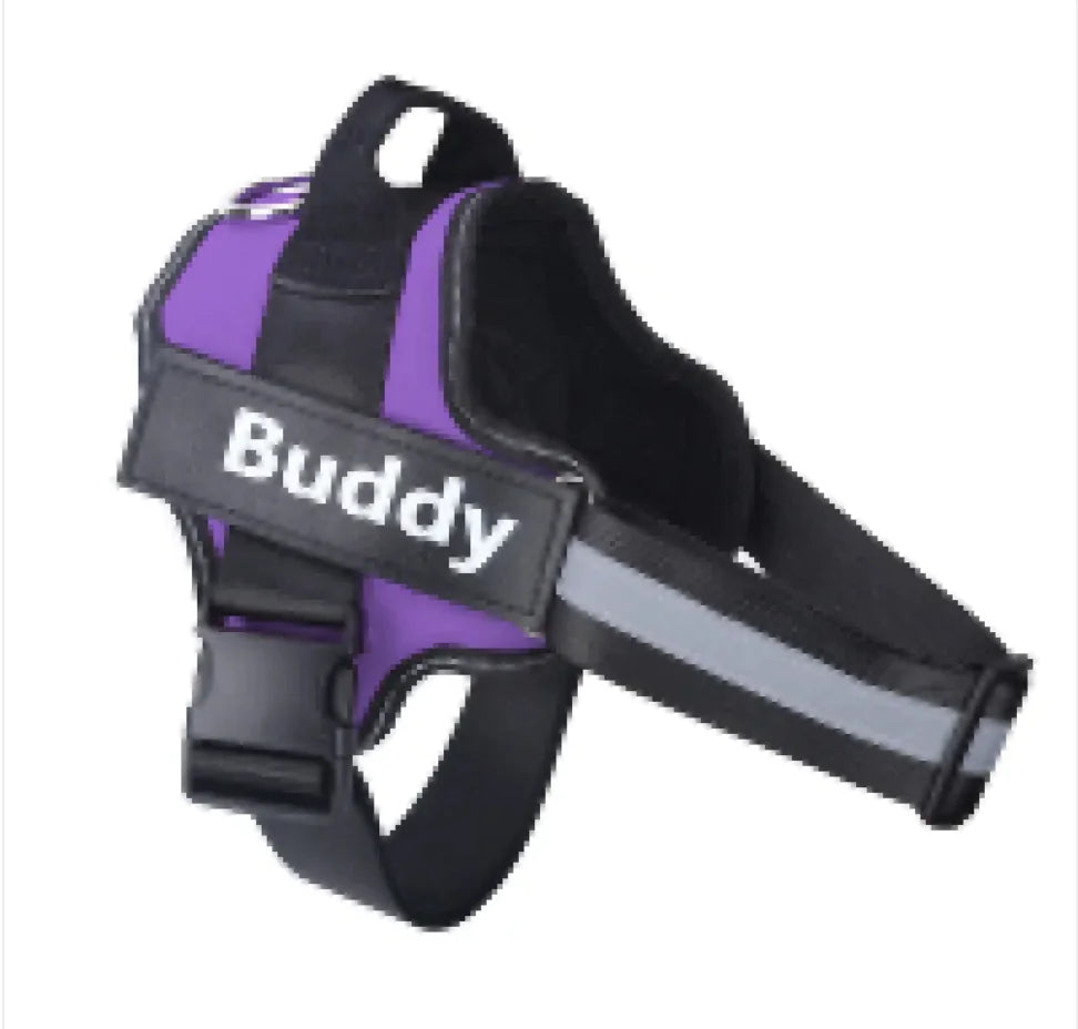 Reflective Adjustable Harness