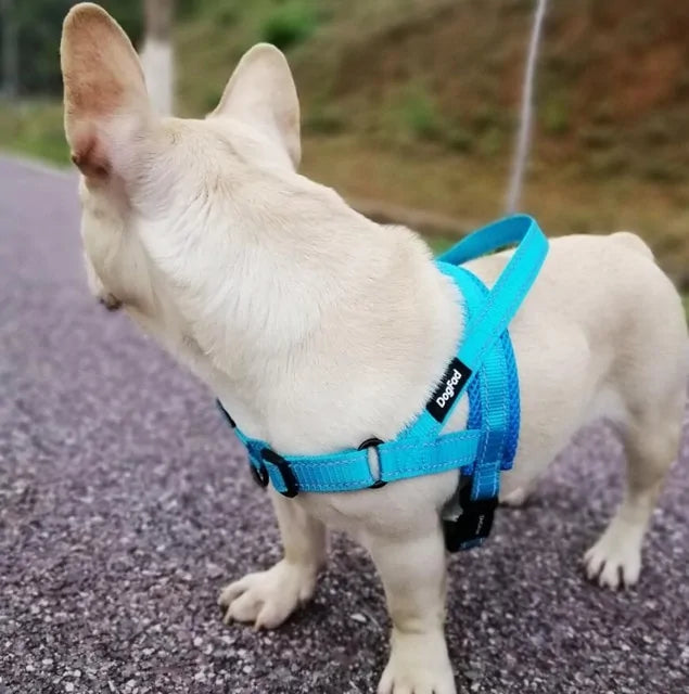 Adjustable Walking Harness