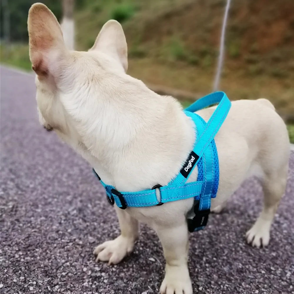 Adjustable Walking Harness