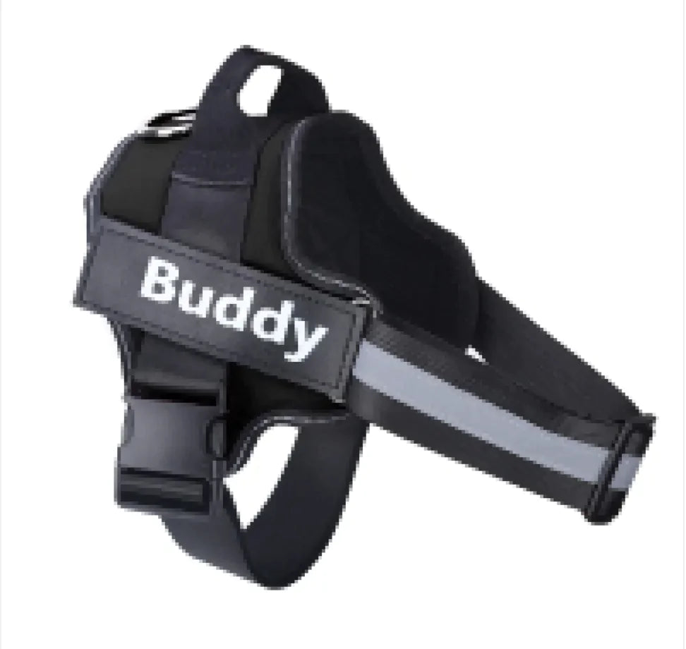 Reflective Adjustable Harness