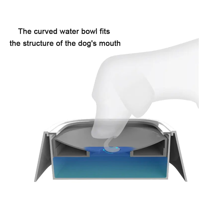 Water Dispenser Dog Bowl