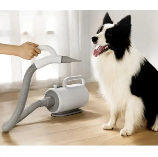 High-power Dog Hair Dryer