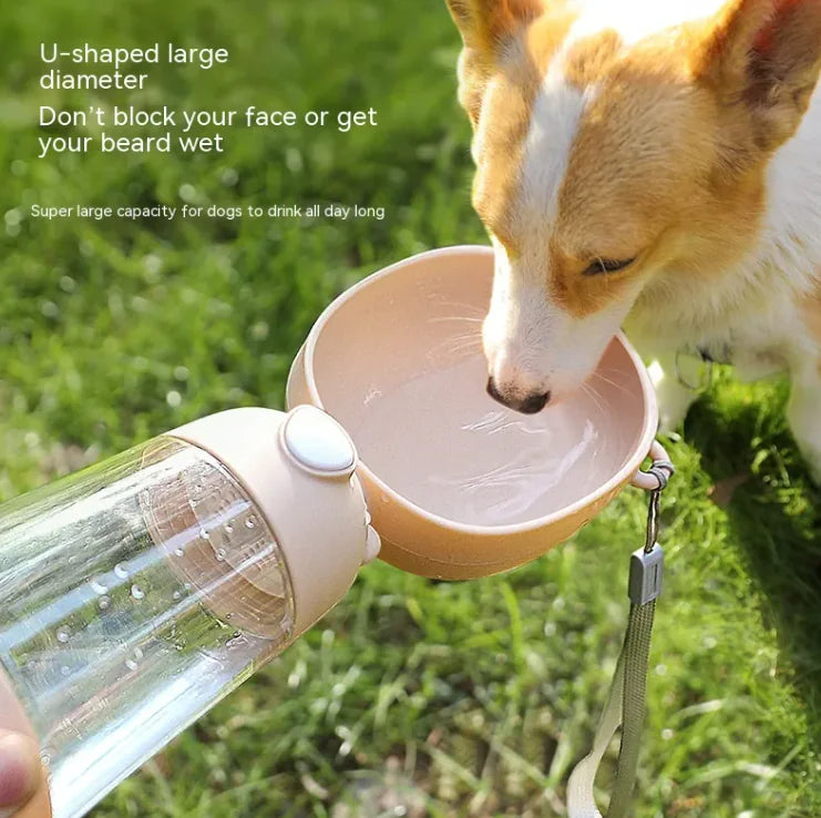 Portable Water Bottle